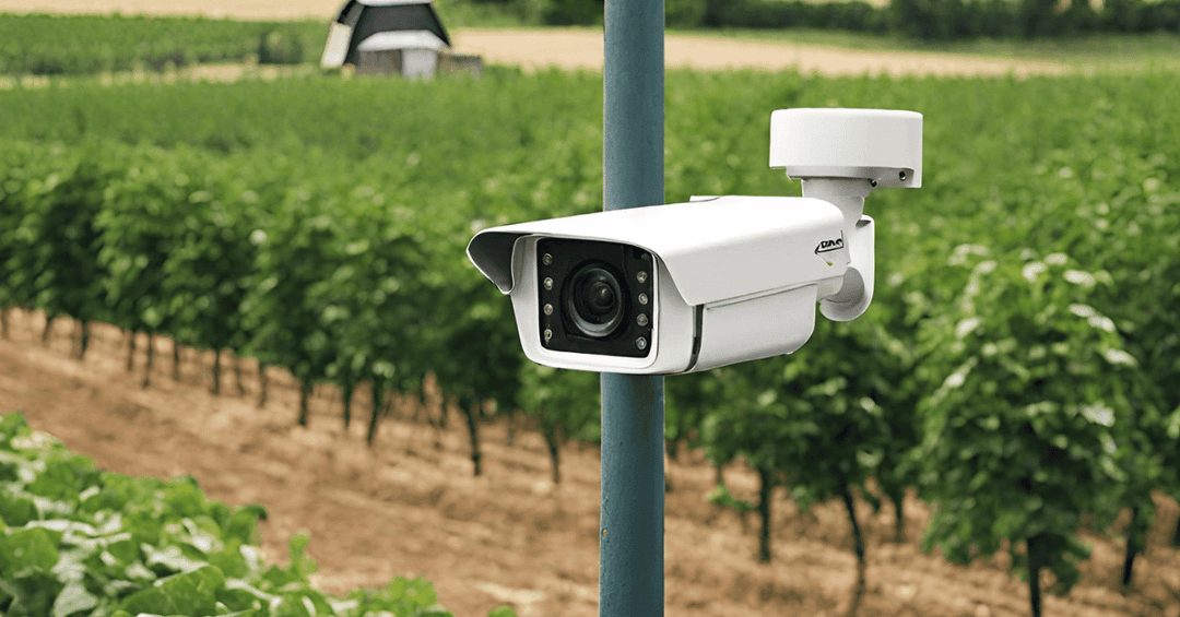 CCTV Surveillance